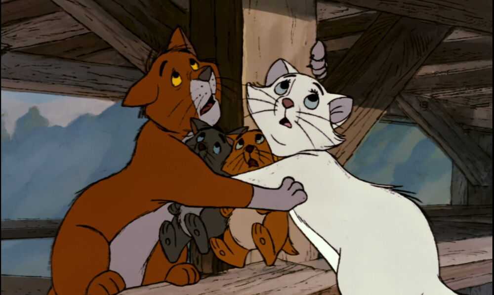 Aristocats (Sverige) Profile Picture