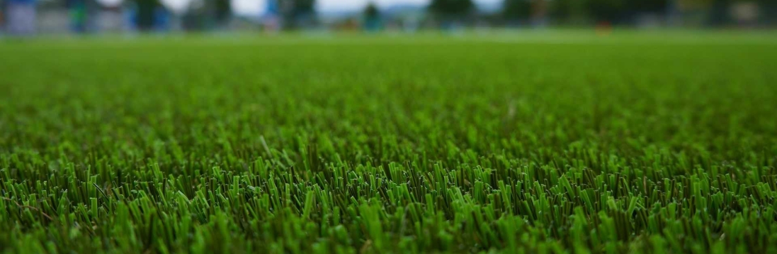 Artificial Grass Brisbane Cover Image