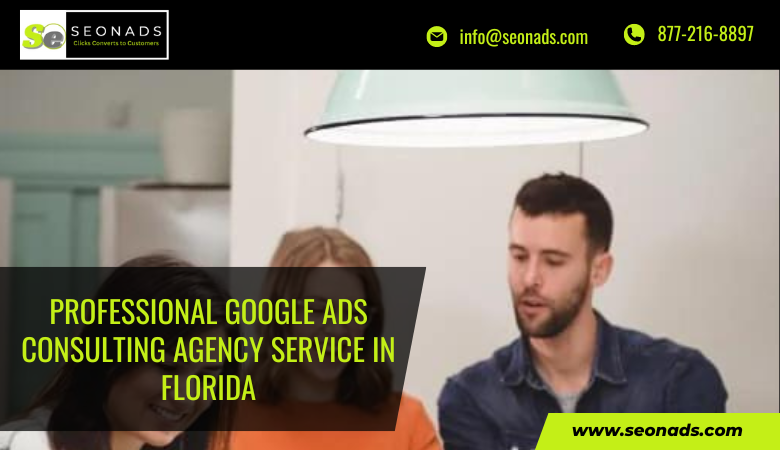 Professional Google Ads Consulting Agency Service in Florida – seonads