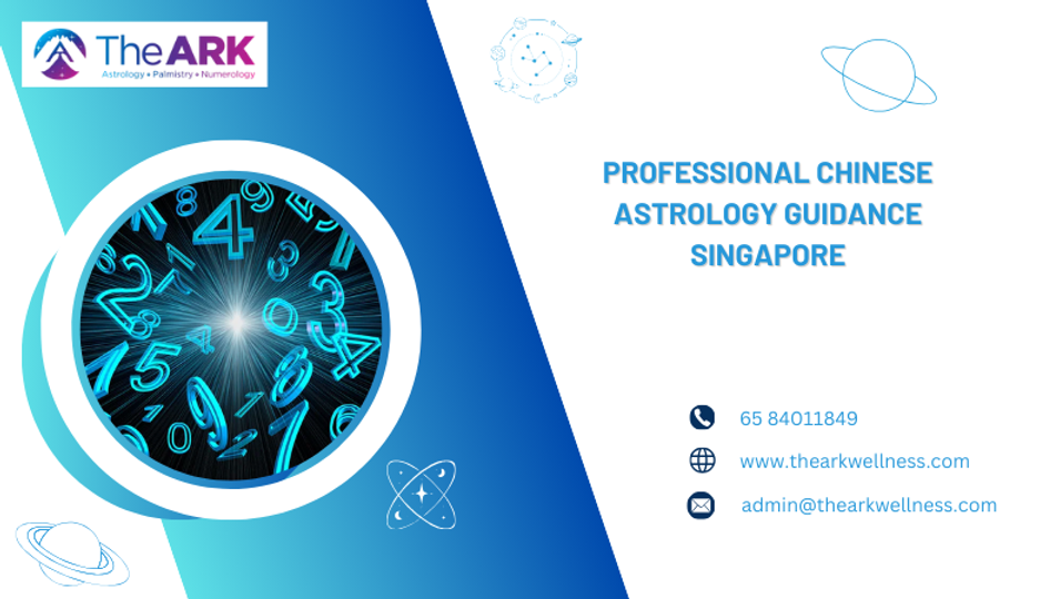 Professional Chinese Astrology Guidance Singapore