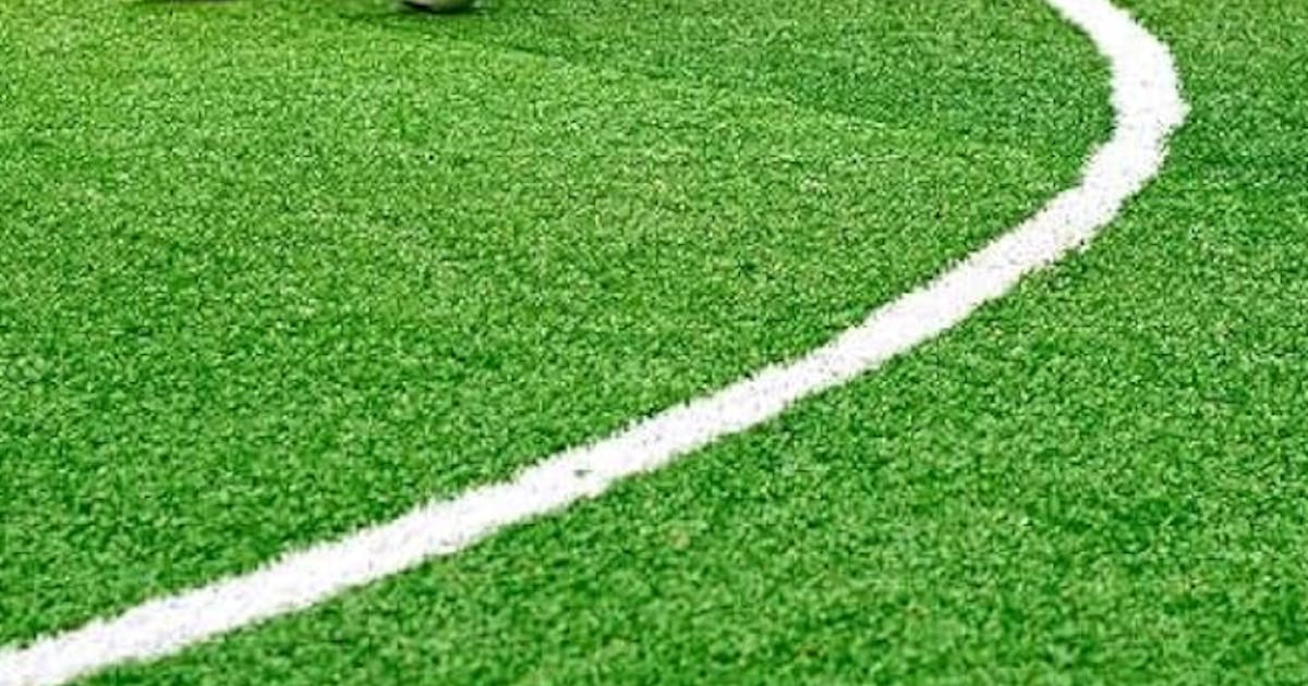 Which Are Perfect Applications To Use Sport Grass? 