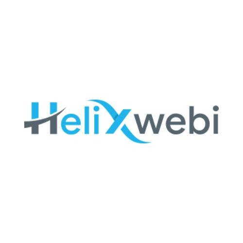 Helixwebi Web Developer Surat Profile Picture