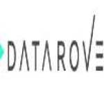 Data Rovers Profile Picture