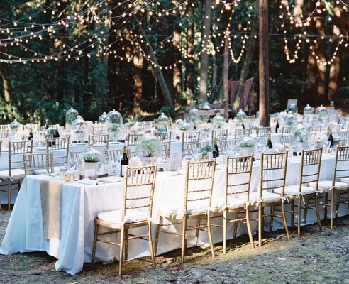 Why Silver Tiffany Chairs Australia Are the Perfect Choice for Elegant Events