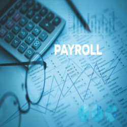 What Is A Payroll Generator And How Does It Work?