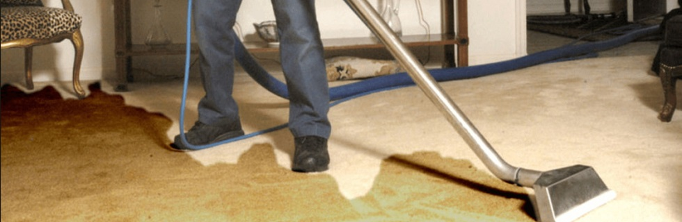 Hire The Professional Wet Carpet Drying Team For Your Units