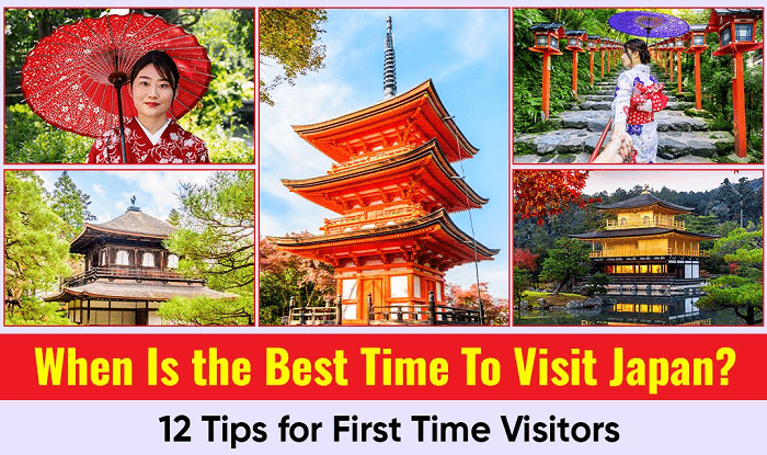 When Is the Best Time to Visit Japan and Why