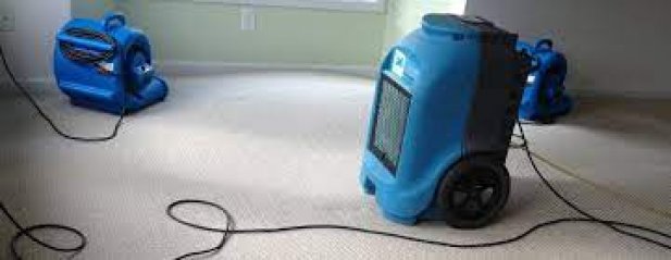 Why everyone needs flood damage restoration services from experts Article - ArticleTed -  News and Articles