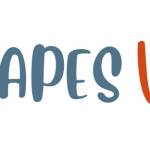 Vapes Villa Profile Picture