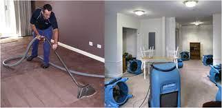 Top-notch things to notice about carpet drying services and consultation