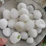 omninos0300s Profile Picture