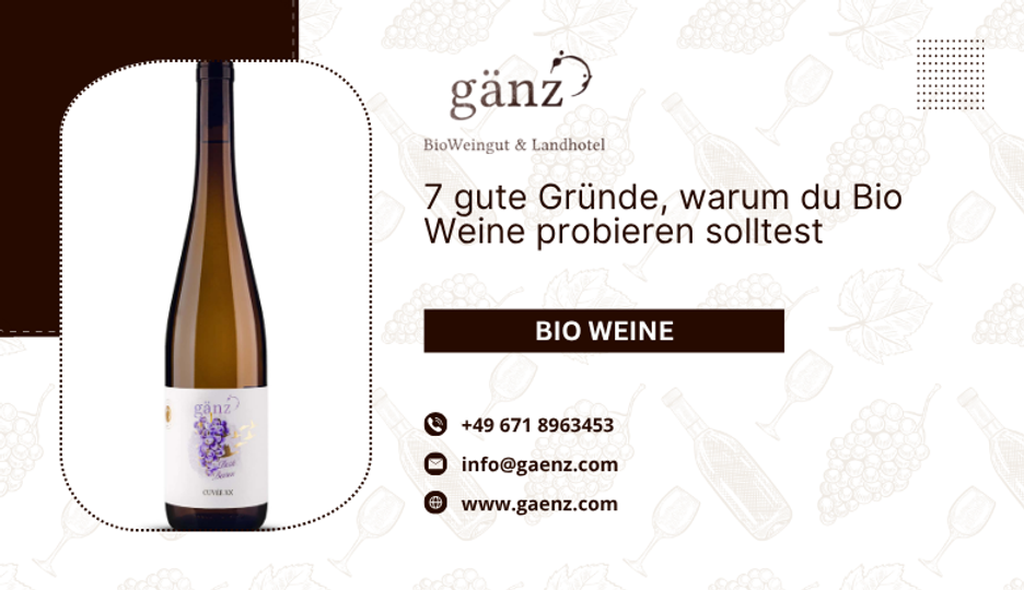 7 gute Gründe, warum du Bio Weine probieren solltest