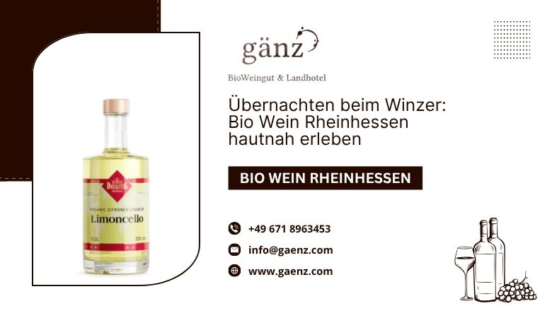 ? Übernachten beim Winzer: Bio Wein Rheinhessen hautnah erleben – BioWeingut Gaenz