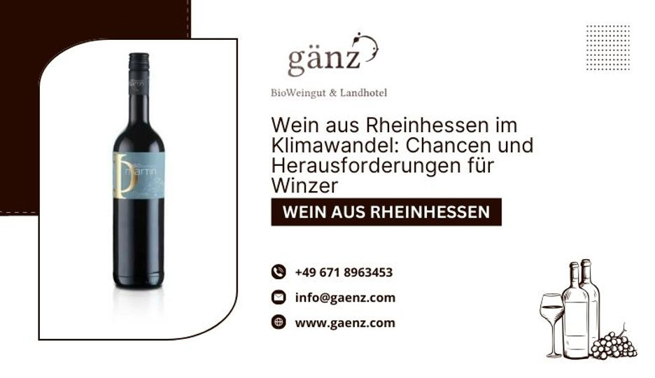 Wein aus Rheinhessen im Klimawandel: Chancen und Herausforderungen für Winzer
