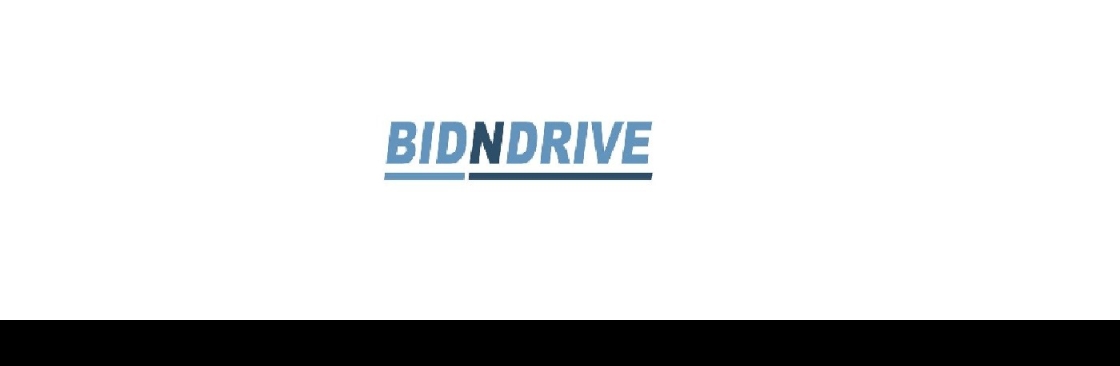 Bidndrive Cover Image