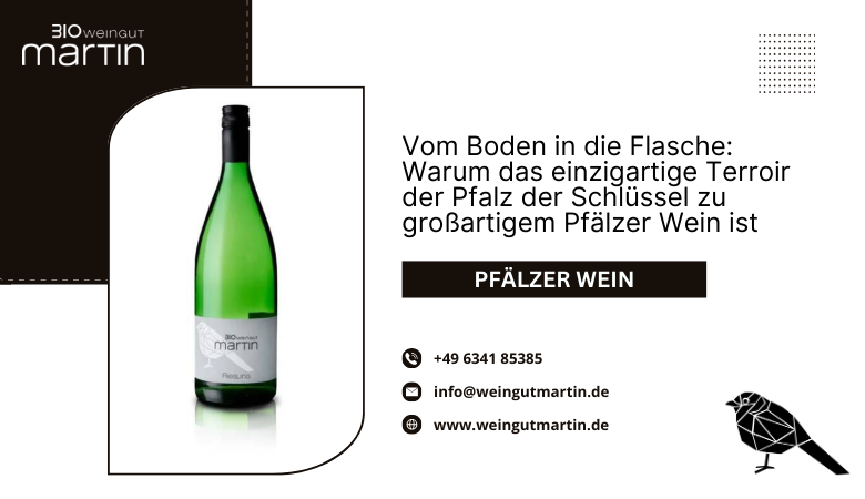 Weingut Martin — Vom Boden in die Flasche: Warum das einzigartige Terroir der Pfalz der Schlüssel zu großartigem Pfälzer Wein ist