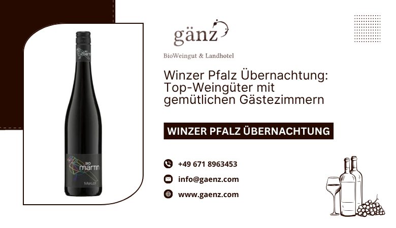 BioWeingut Gaenz — Winzer Pfalz Übernachtung: Top-Weingüter mit gemütlichen Gästezimmern