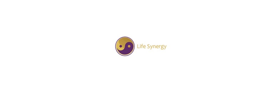 Life Synergy Retreat Cover Image