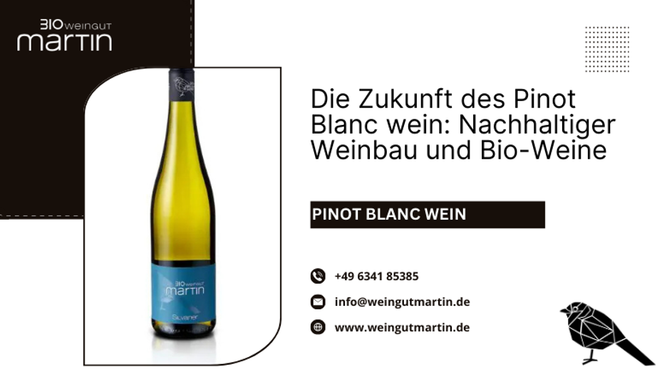 Die Zukunft des Pinot Blanc wein: Nachhaltiger Weinbau und Bio-Weine