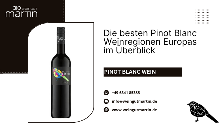 Die besten Pinot Blanc Weinregionen Europas im Überblick – Weingut Martin