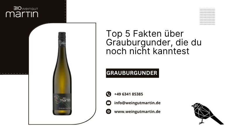Top 5 Fakten über Grauburgunder, die du noch nicht kanntest – Weingut Martin