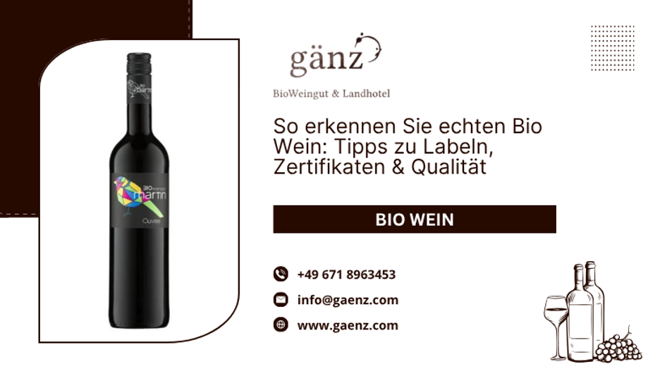 ? So erkennen Sie echten Bio Wein: Tipps zu Labeln, Zertifikaten & Qualität