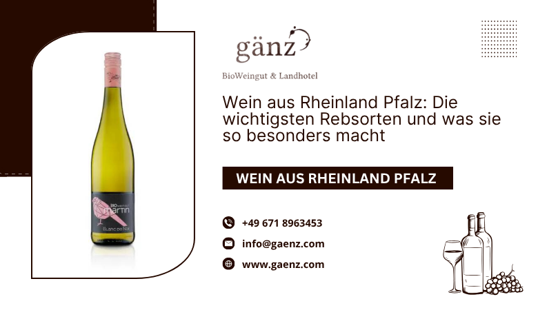 BioWeingut Gaenz — Wein aus Rheinland Pfalz: Die wichtigsten Rebsorten und was sie so besonders macht ??