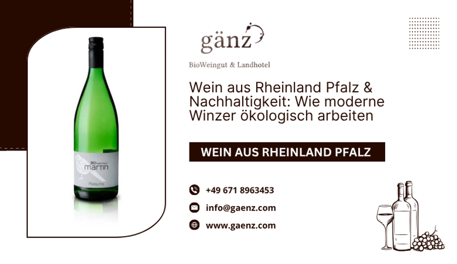 Wein aus Rheinland Pfalz & Nachhaltigkeit: Wie moderne Winzer ökologisch arbeiten ??