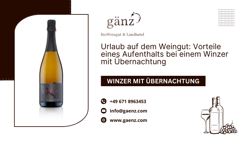 BioWeingut Gaenz — Urlaub auf dem Weingut: Vorteile eines Aufenthalts bei einem Winzer mit Übernachtung ??