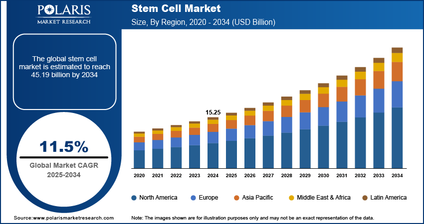 Stem Cell Market Size Share & Research Report, 2034