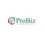 ProBiz Setup Profile Picture