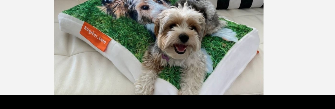 hugsterlove hugsterlove Cover Image