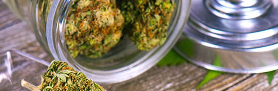 Green Therapy Cover Image