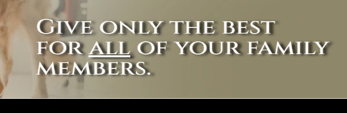 rainsoftcarolinas Cover Image