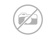 Dallas | Texas | United States | Computer | The Free Ad Forum | Choose AI Chatbot Development Company For Smart Solutions