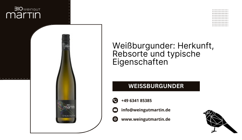Weißburgunder: Herkunft, Rebsorte und typische Eigenschaften – Weingut Martin