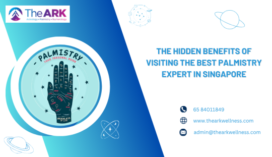 The Ark Wellness — The Hidden Benefits of Visiting the Best Palmistry Expert in Singapore
