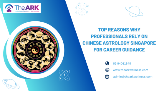 The Ark Wellness — Top Reasons Why Professionals Rely on Chinese Astrology Singapore for Career Guidance