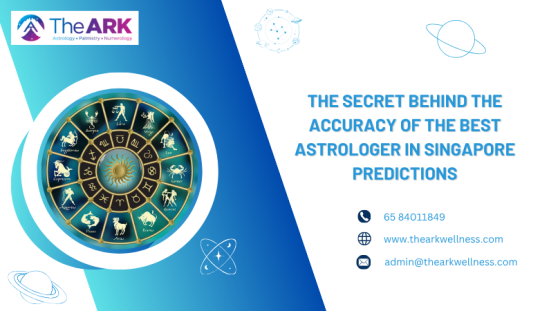 The Ark Wellness — The Secret Behind the Accuracy of the Best Astrologer in Singapore Predictions