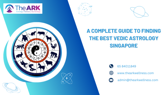 The Ark Wellness — A Complete Guide to Finding the Best Vedic Astrology Singapore