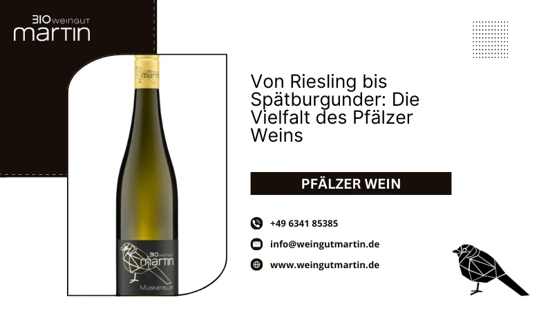 Von Riesling bis Spätburgunder: Die Vielfalt des Pfälzer Weins — WriteUpCafe
