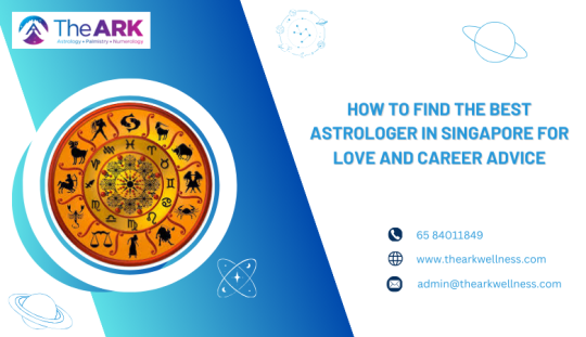 The Ark Wellness — How to Find the Best Astrologer in Singapore for Love and Career Advice ?
