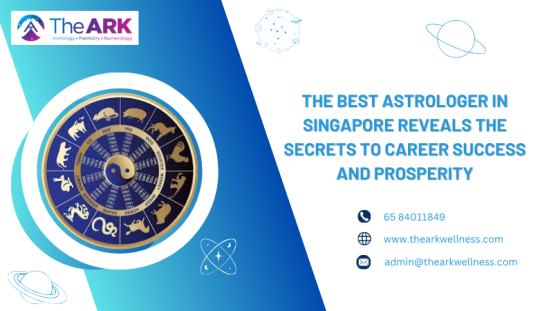 The Ark Wellness — The Best Astrologer in Singapore Reveals the Secrets to Career Success and Prosperity