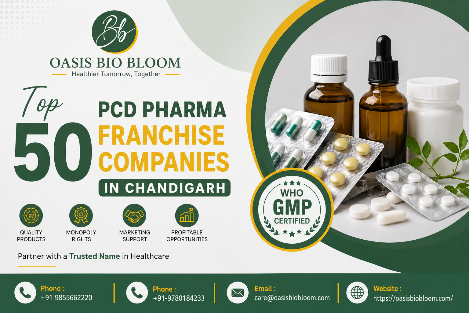 Top 50 PCD Pharma Franchise Companies in Chandigarh