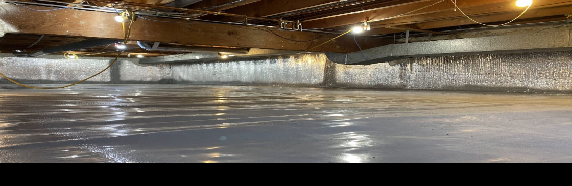 Crawl Spaces Cover Image